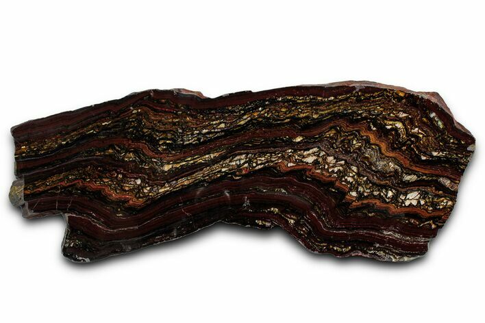 Polished Tiger Iron Stromatolite Section - Billion Years #353264